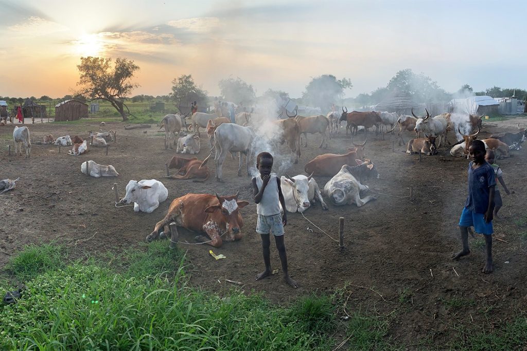 Les habitants d'Aburoc vivent principalement de l'élevage